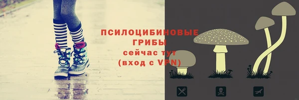 амф Алзамай